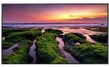 Samsung Business Samsung 55-inch Commercial 4K UHD LED LCD Display, 350 NIT