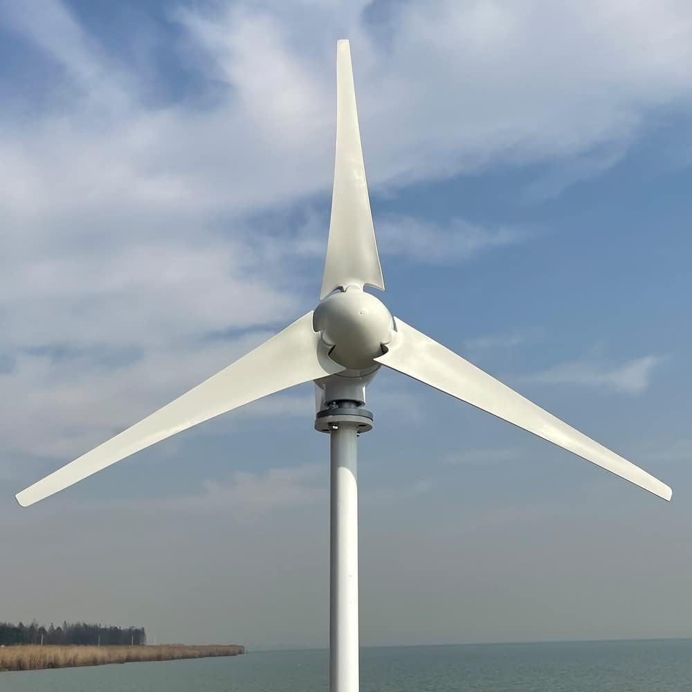 Wind Turbine Generator, 3000w 5 Blades Free Energy Wind Energy HIGH Efficient 12v 24v Wind Turbine Generator with MPPT Controller Wind System,Generator Motor(Wind Turbine only,24V_3KW 5BLADES)