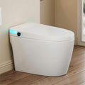 Smart Toilet, Eridanus One Piece Tankless Toilet with Bidet Built in, Foot-Sensor, Off-Seat Auto Flush, Adjustable Warm Water Sprayer, Air Dryer, Elongated Heated Seat, Power-Assisted Flush