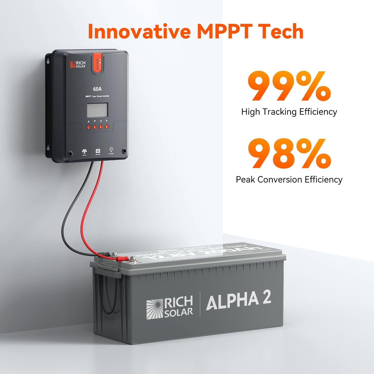 RICH SOLAR 800 Watt Premium Solar Kit Contains 4 High Efficiency 200W Monocrystalline Panels with 9 Busbars and 60A MPPT Controller