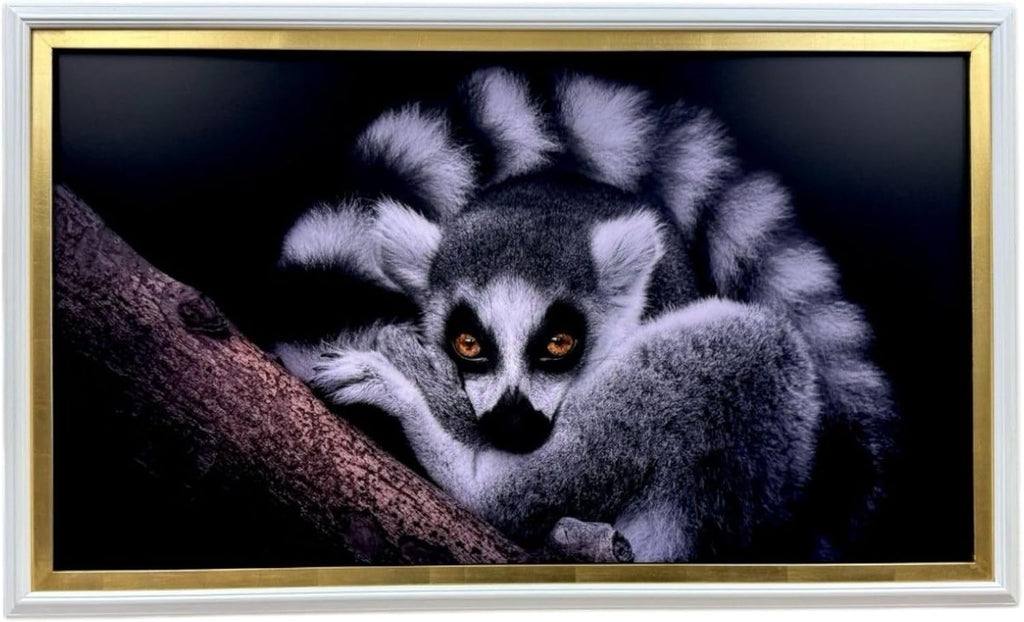 32, 43, 50 and 55 inch Handmade wood ornate TV Frame for Samsung The Frame TV. Satin White with Gold Leaf (not for use with other models) (43 INCH)