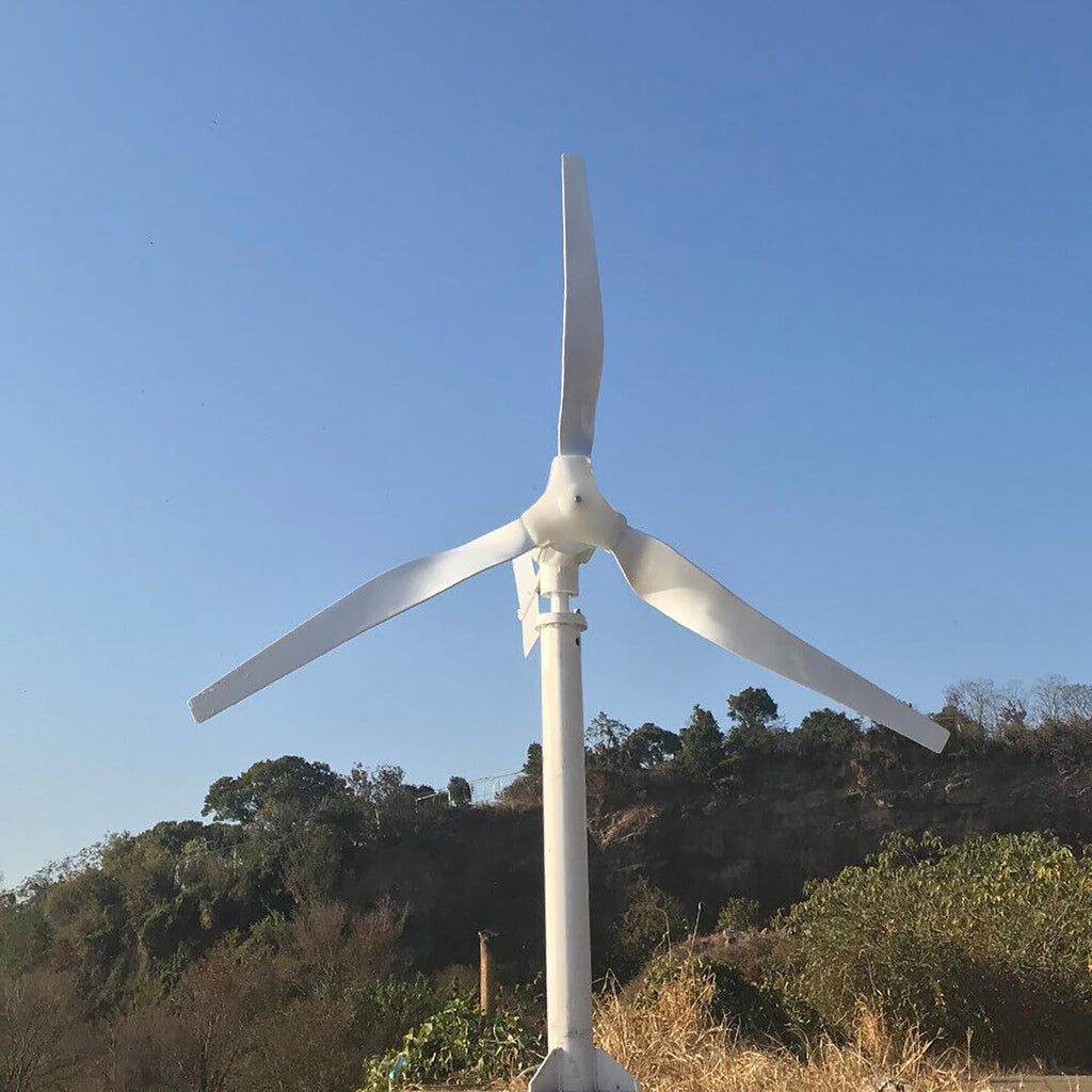 3KW 48V Wind Turbine Generator Kit Off Grid Wind Power Generator Windmill & MPPT Charge Controller