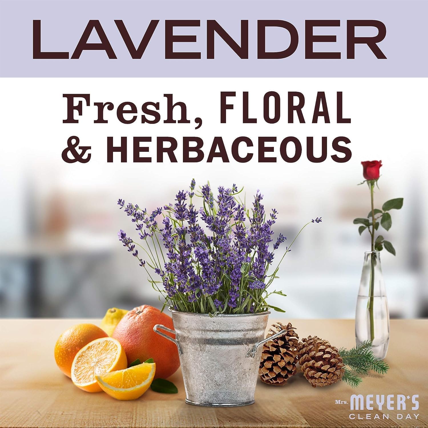 Mrs. Meyer's Clean Day Lavender Laundry Detergent Concentrated Loads Per Bottle 64 Fl Oz (Pack of 6)