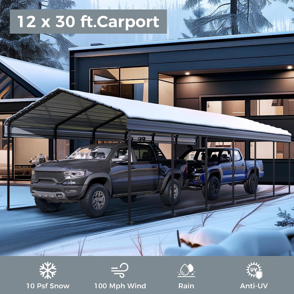 GREEN PARTY 12 x 30 ft Metal Carport Kits with Galvanized Steel Roof, Heavy Duty 2 Car Metal Carport Canopy, Outdoor Car Tent Metal Garage Shelter for Car, SUV, Truck and Boats, Grey