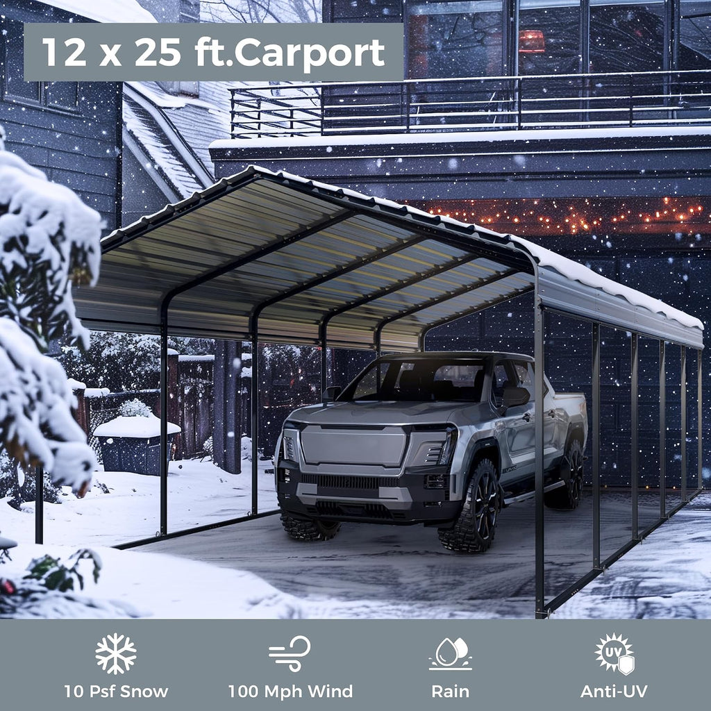 GREEN PARTY 12 x 25 ft Metal Carport Kits with Galvanized Steel Roof, Heavy Duty Metal Carport Canopy, Outdoor Car Tent Metal Garage Shelter for Car, SUV, Truck and Boats, Grey