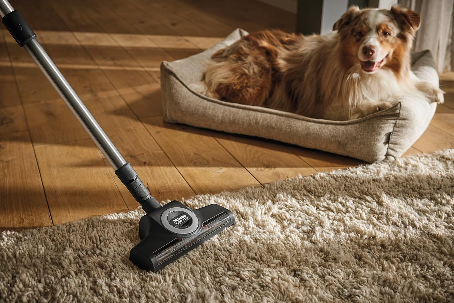 Miele TurboTeQ STB 305-3 Turbo Brush, Attachable Floorhead for Low-Medium Pile Carpet