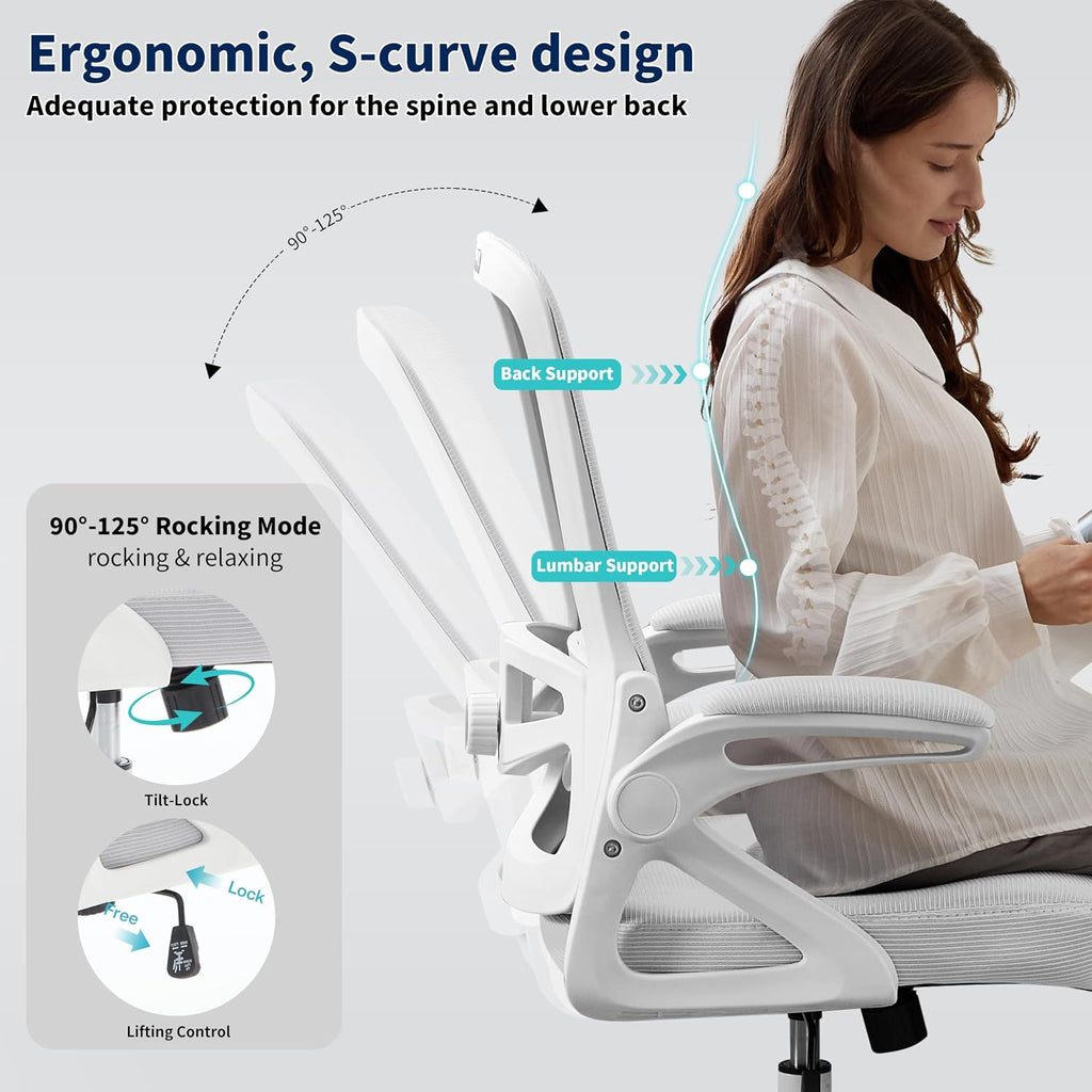 Ergonomic Office Chair, Desk Chair with Adjustable Lumbar Support, Breathable Mesh Comfy Computer Chairs with Flip-up Armrests Executive Task Chair for Adults Home Office(Gray)