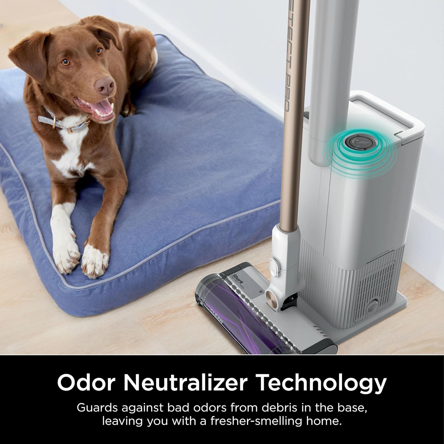 Shark IW3615 Detect Pro Cordless Stick Vacuum with HEPA Auto-Empty System, Flexible Wand, Portable Handheld Attachment, Ideal for Household Pet Hair, 60 Minute Runtime, White/Beats Brass (Renewed)