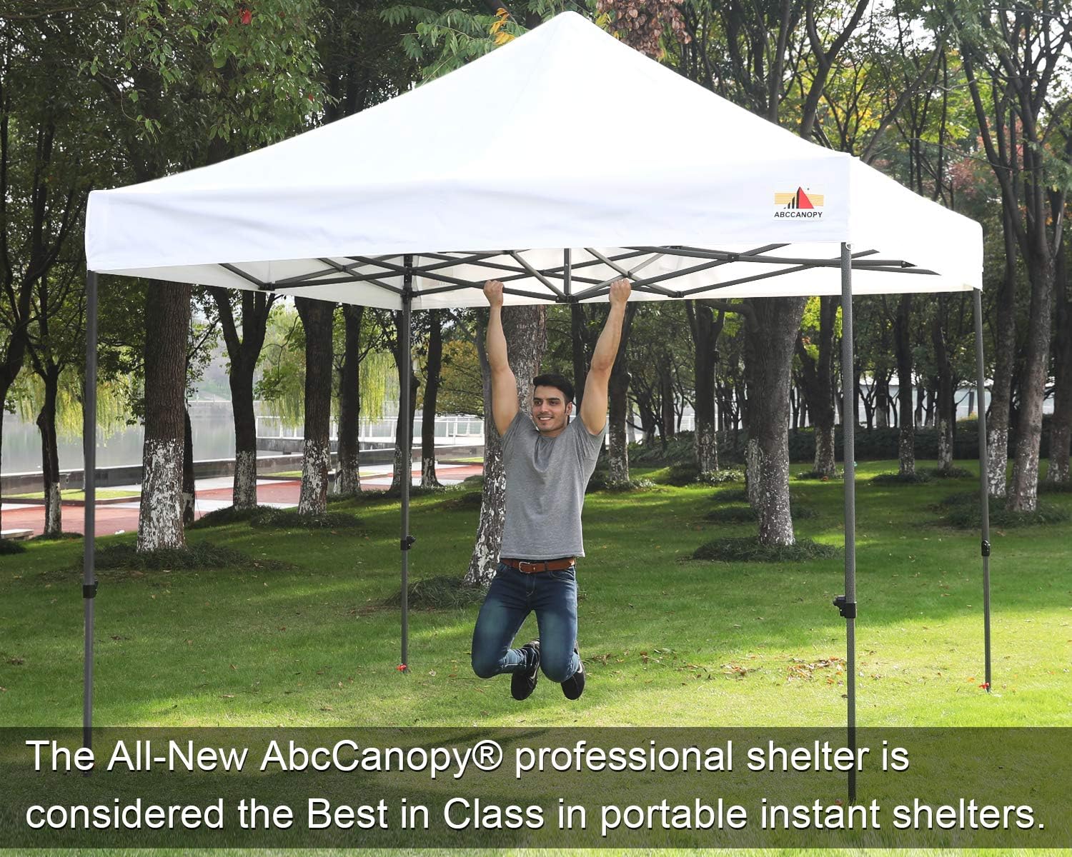 ABCCANOPY Premium Canopy Tent Commercial Instant Shade 10x10 Premium-Series, Stripe Black